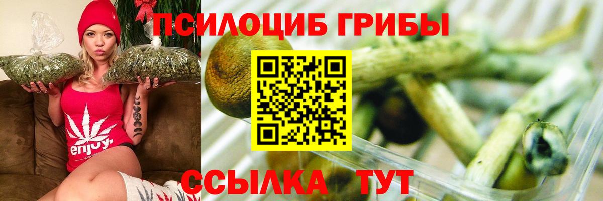 Галлюциногенные грибы мухоморы Мирный